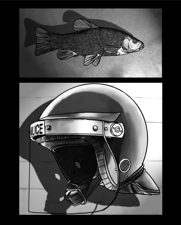 Z day uk fish and helmet